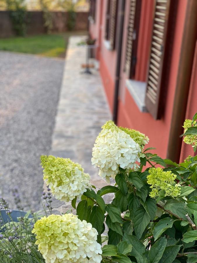 Il Mallo Verde - Lake Como B&B Mandello del Lario Extérieur photo