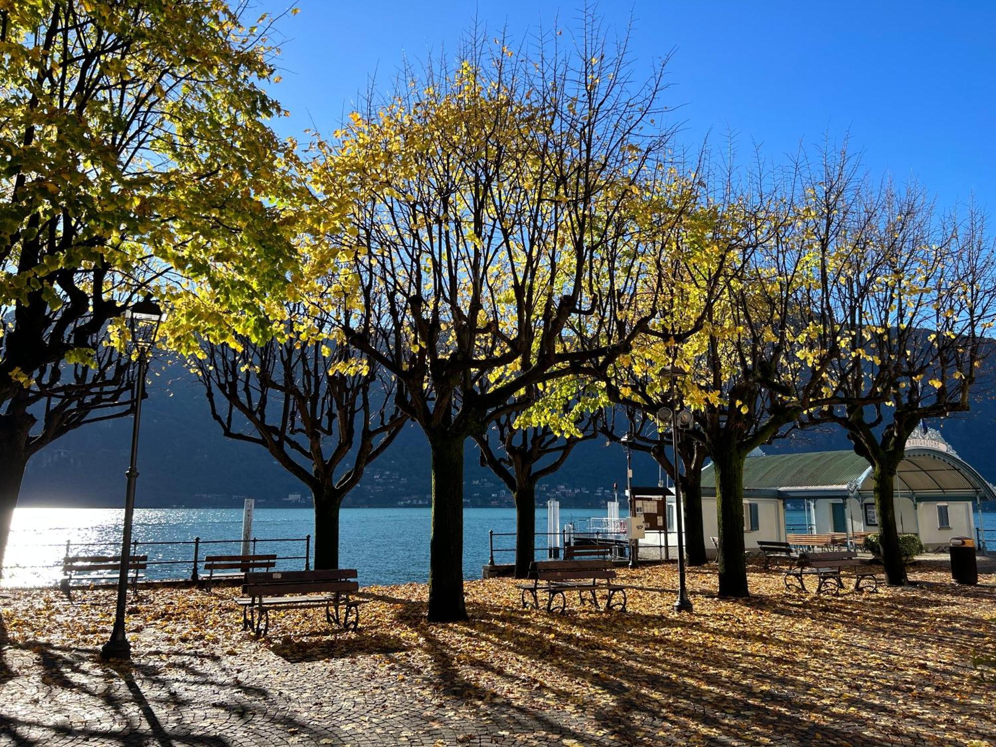 Il Mallo Verde - Lake Como B&B Mandello del Lario Extérieur photo
